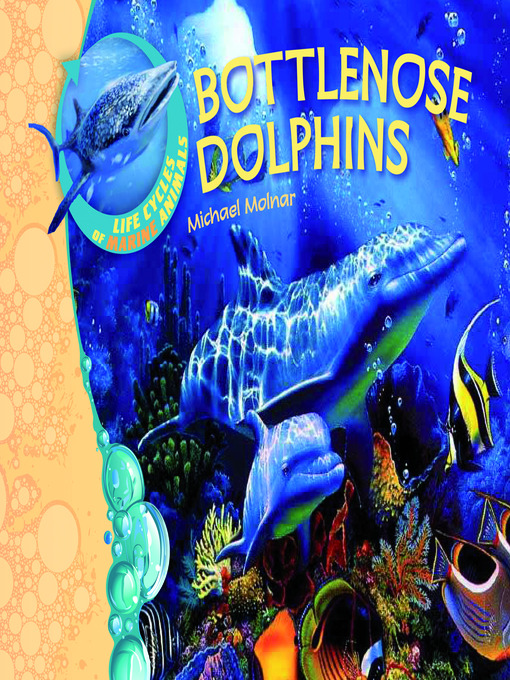 Title details for Bottlenose Dolphins by Michael Molnar - Available